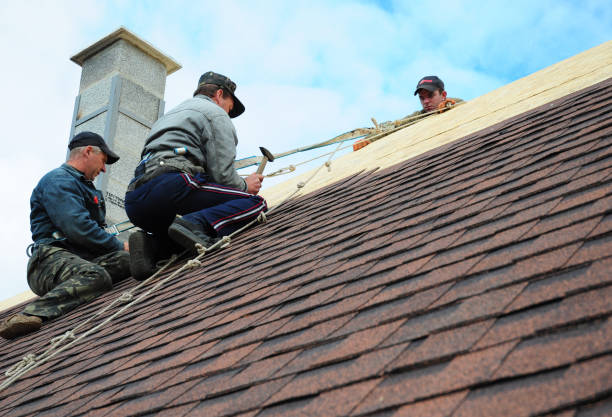 Quick and Trustworthy Emergency Roof Repair Services in Preston, TX